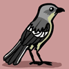 mockingbird avatar